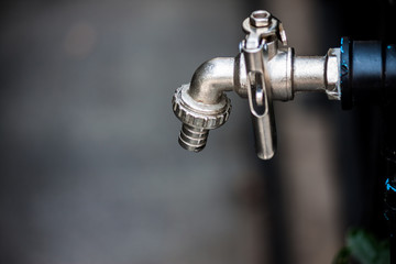 the stainless faucet