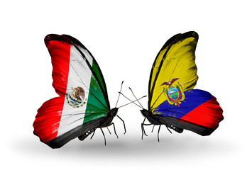 Two butterflies with flags Mexico and Ecuador