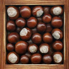 Chestnut, collection of products