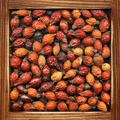 Rosehip, collection of products