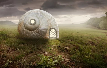 Surreales künstlerisches Bild mit einem Schnecken- und Muschelhaus © cakobelo
