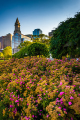 Obraz premium Flowers and the Custom House Tower in Boston, Massachusetts.