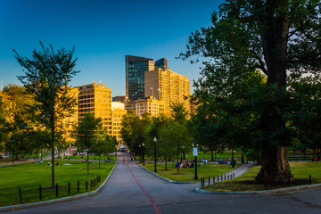 Path in the Boston Common and evening light on buildings in Bost