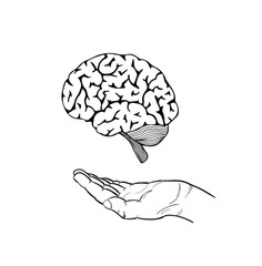 human brain and hand