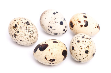 few quail eggs