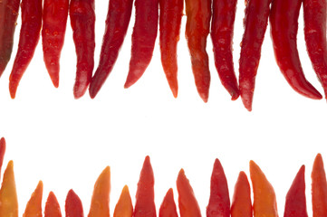 Red chilli