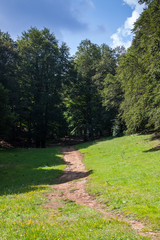 Summer mountain landscape