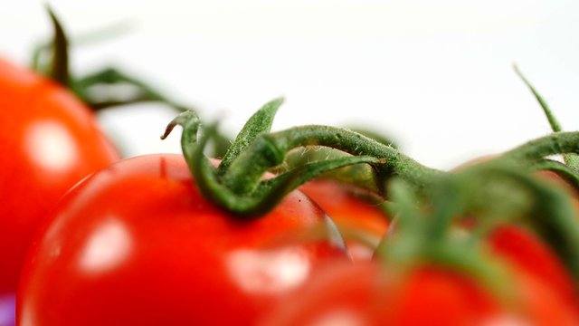 Tomatoes on white background in rotation