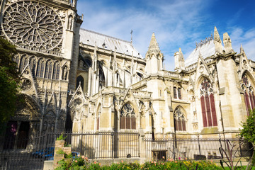 Obraz premium The Cathedral of Notre Dame de Paris