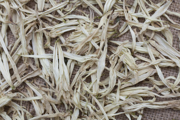 Dry foliage. Herbarium. Background. Photo.