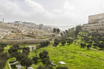Fototapeta na wymiar Kidron Valley. Jerusalem
