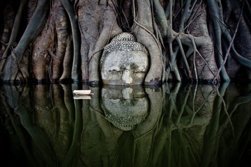 Buddha Head Tree Roots flood in Wat Mahathat at Ayutthaya Historical Park Tree Roots flood