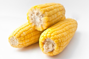 Boiled corn on white background