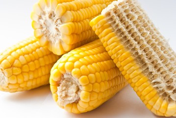 Boiled corn on white background
