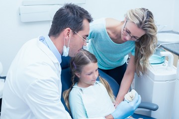 Fototapeta premium Dentist with assistant teaching girl how to brush teeth