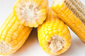 Boiled corn on white background