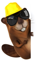 Fun beaver © Julien Tromeur