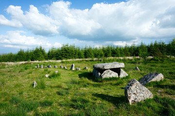 Burial cist and stone row Bellever Dartmoor Devon Uk © annacurnow