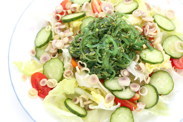 wakame seaweed salad on white background 