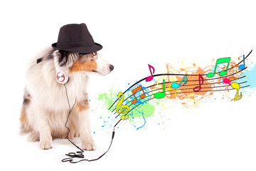 musikalischer Hund mit Kopfhörer