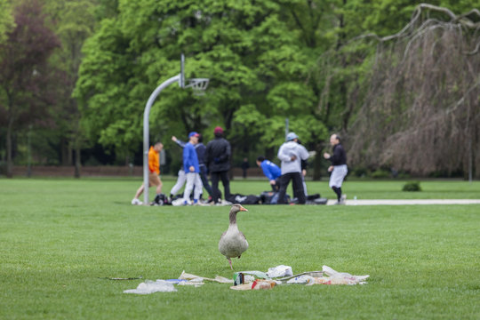 Stadtpark Menschen beim Sport mit Gans vor Abfall