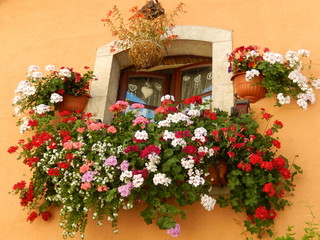 Window with flowers in Pescasseroli