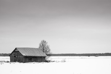 Coldness Of February