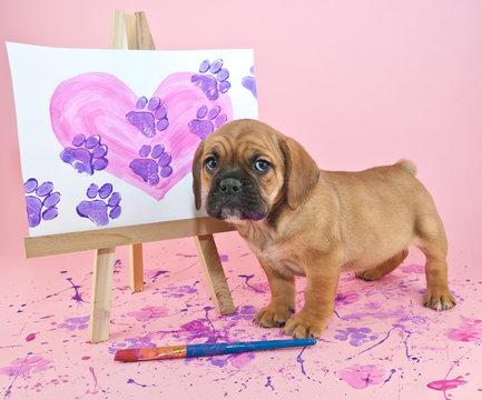 Paw Prints on Your Heart