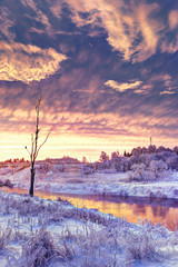 Winter dawn in the Moscow region. Frost