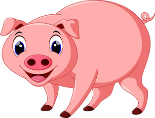 Cute pig cartoon