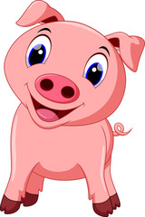 Cute pig cartoon
