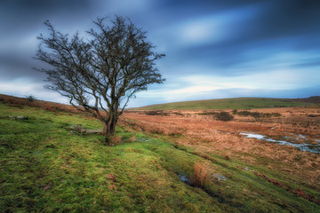 Bleak Bodmin Moor