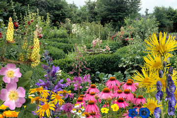 Bauerngarten, Heilpflanzenarrangement, heilpflanzen