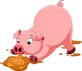 Cute pig cartoon