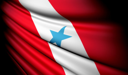 Flag of Brazil (Pará)