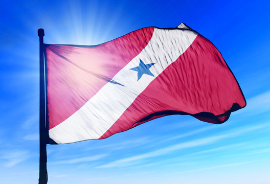 Para (Brazil) flag waving on the wind