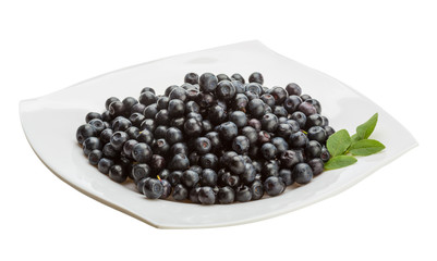 Blueberry