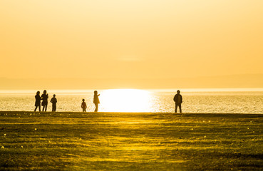 Sunny family walk on the beach