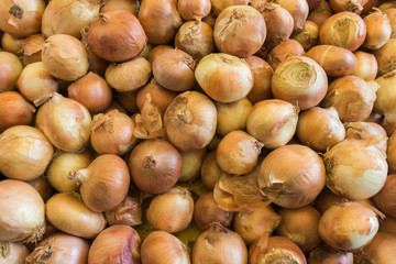 Fresh onion.  onions background