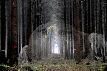 Obraz premium auf der hut