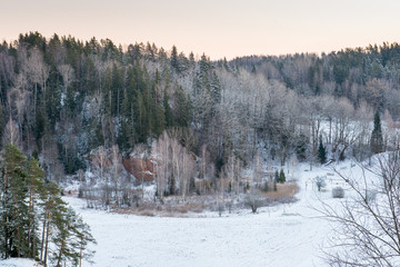 snowy winter forest with snow covered trees