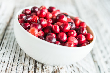 Cranberry