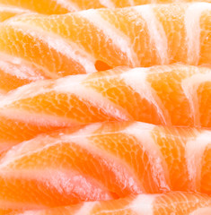 Salmon meat close up