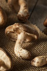 Raw Organic Shitaki Mushrooms