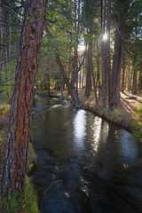 Obraz premium Fast Moving Stream Hat Creek Lassen National Forest