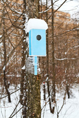 birdhouse with snowdrift in urban park