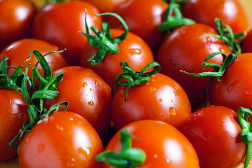 fresh tomatoes