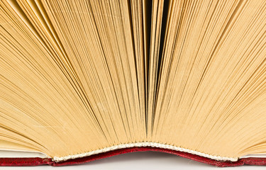 Close-up of opened book's page