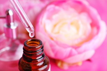 Dropper bottle of perfume with peony on pink background