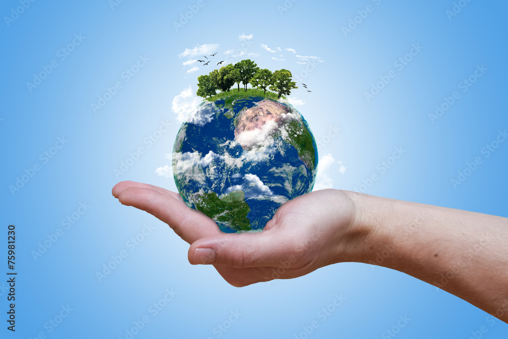 Canvas Prints eco green earth